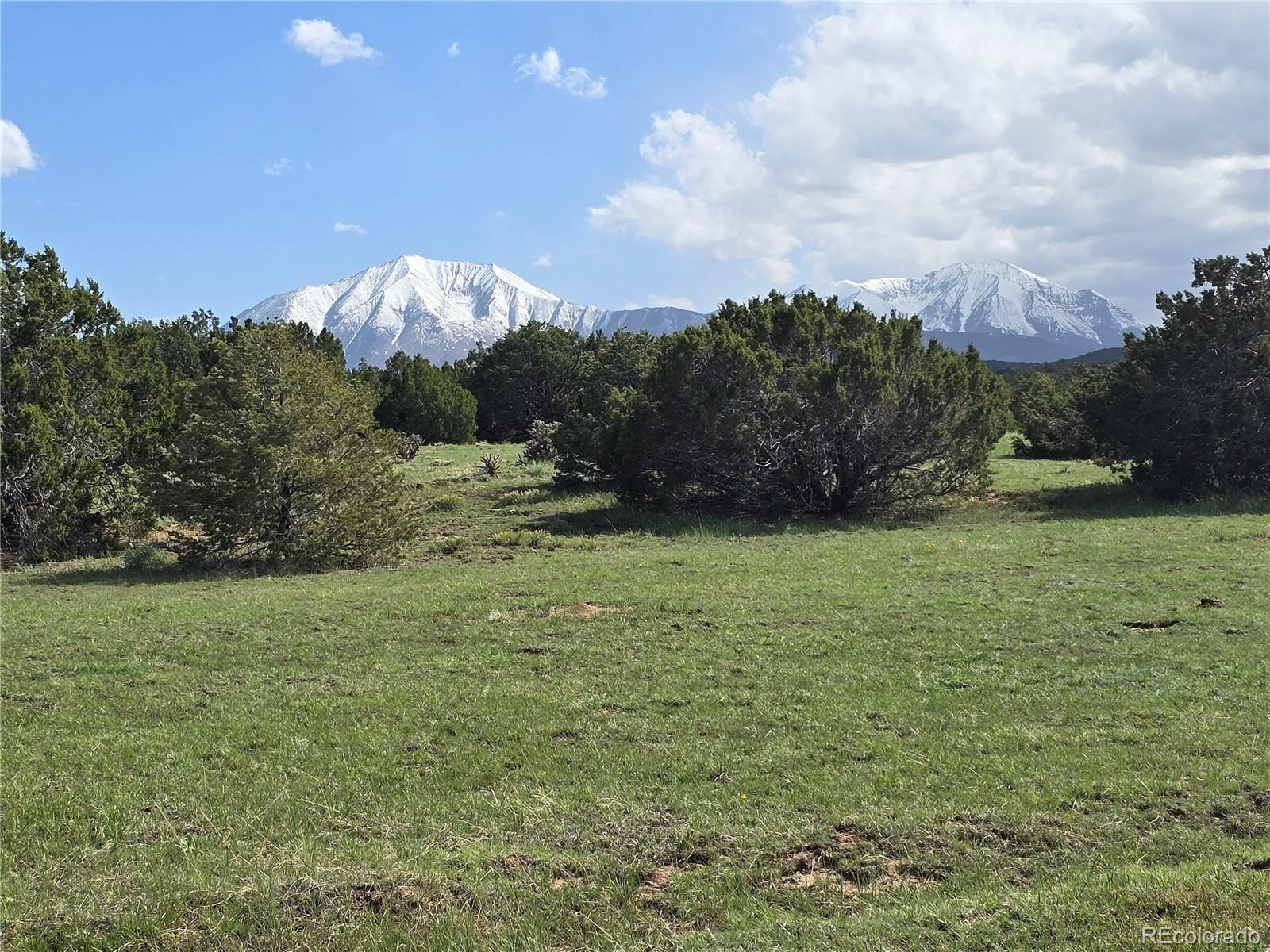 90 River Ridge Trail Walsenburg, CO 81089 - Photo 4 of 23