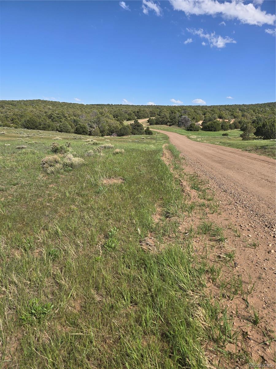 90 River Ridge Trail Walsenburg, CO 81089 - Photo 5 of 23