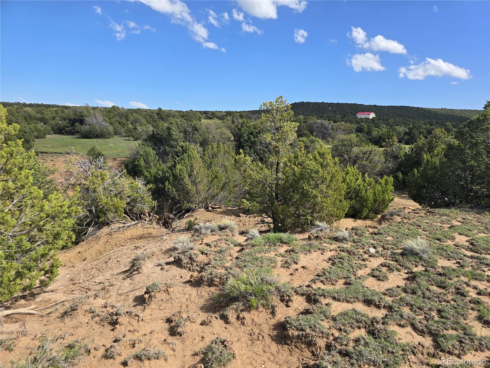 90 River Ridge Trail Walsenburg, CO 81089 - Photo 6 of 23