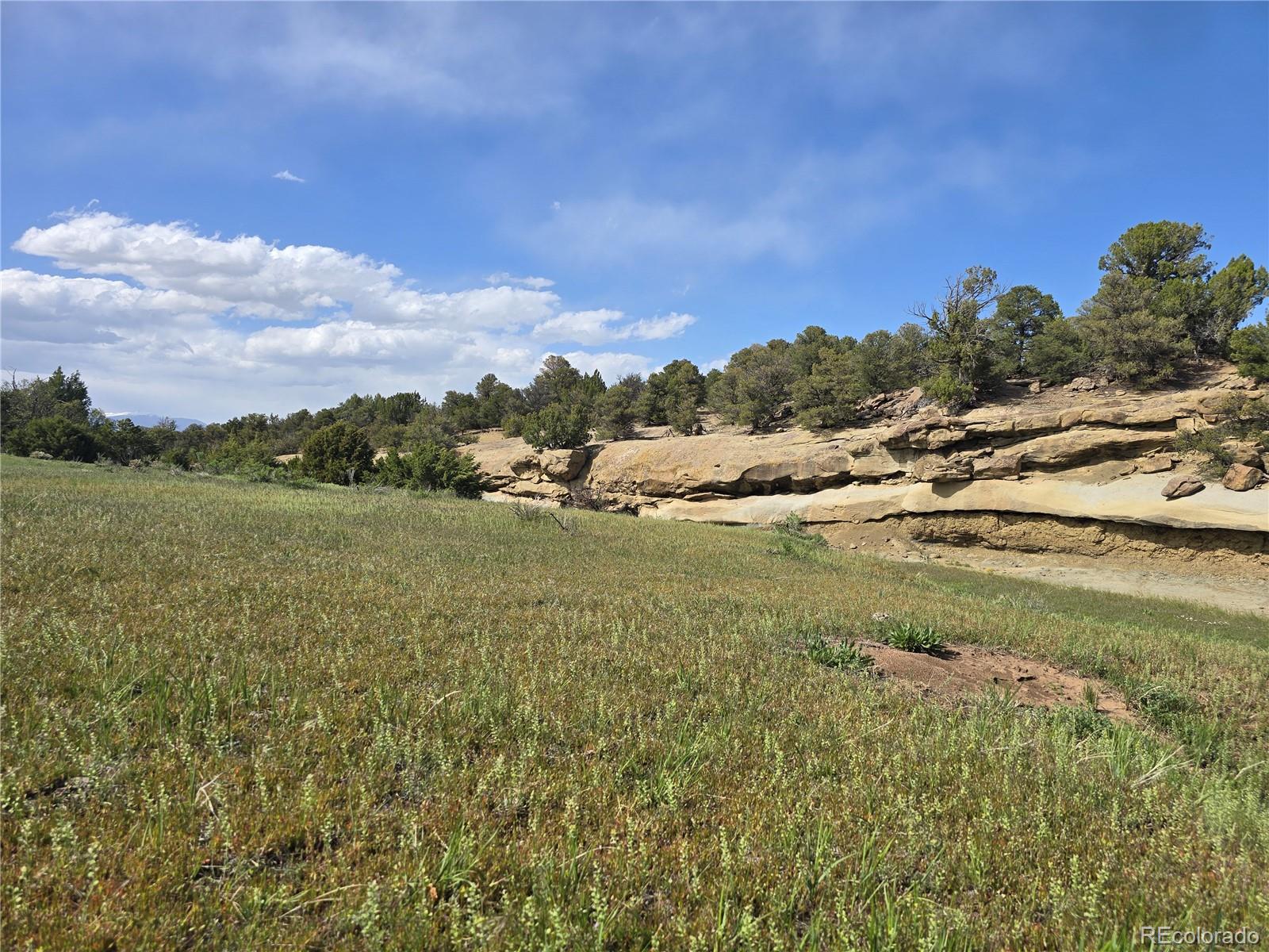 90 River Ridge Trail Walsenburg, CO 81089 - Photo 8 of 23