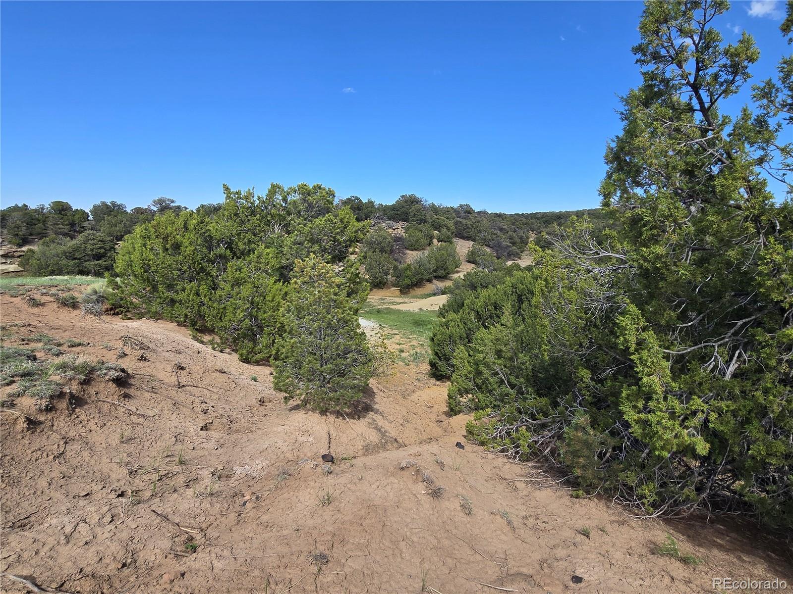 90 River Ridge Trail Walsenburg, CO 81089 - Photo 10 of 23