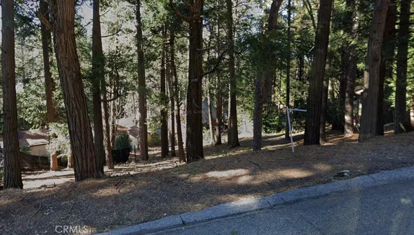 a view of a road with trees in the background