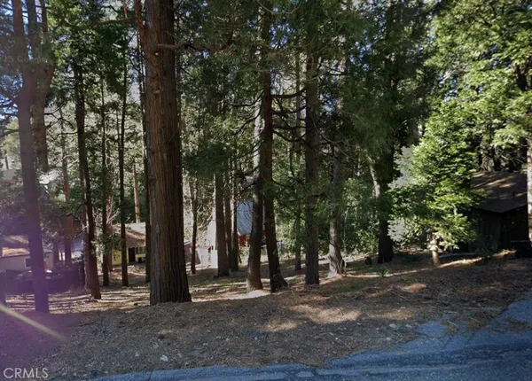 a view of outdoor space with trees