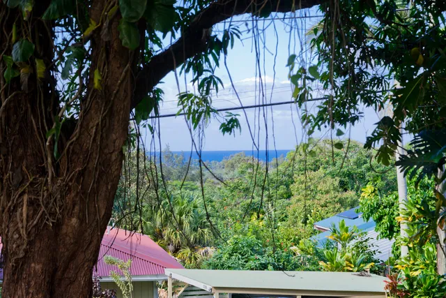 a view of a patio with couches table and chairs under an umbrella