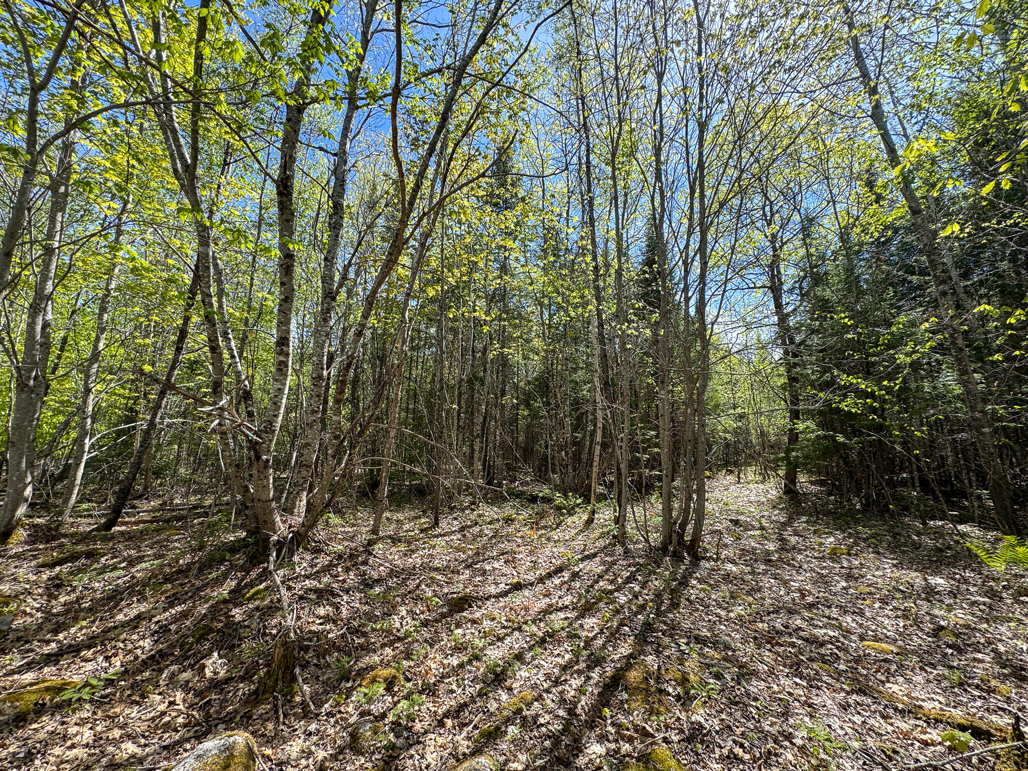 M2-l11-4 West Indian Road Lincoln, ME 04457 - Photo 22 of 27 23