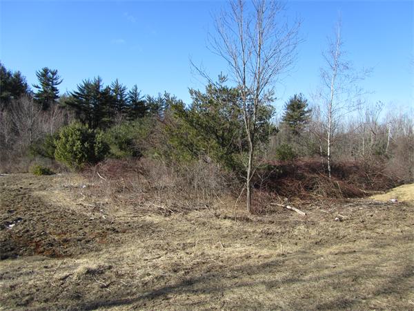 312 Townsend Hill Road Townsend, MA 01469 - Photo 6 of 13 Gallery Image 6