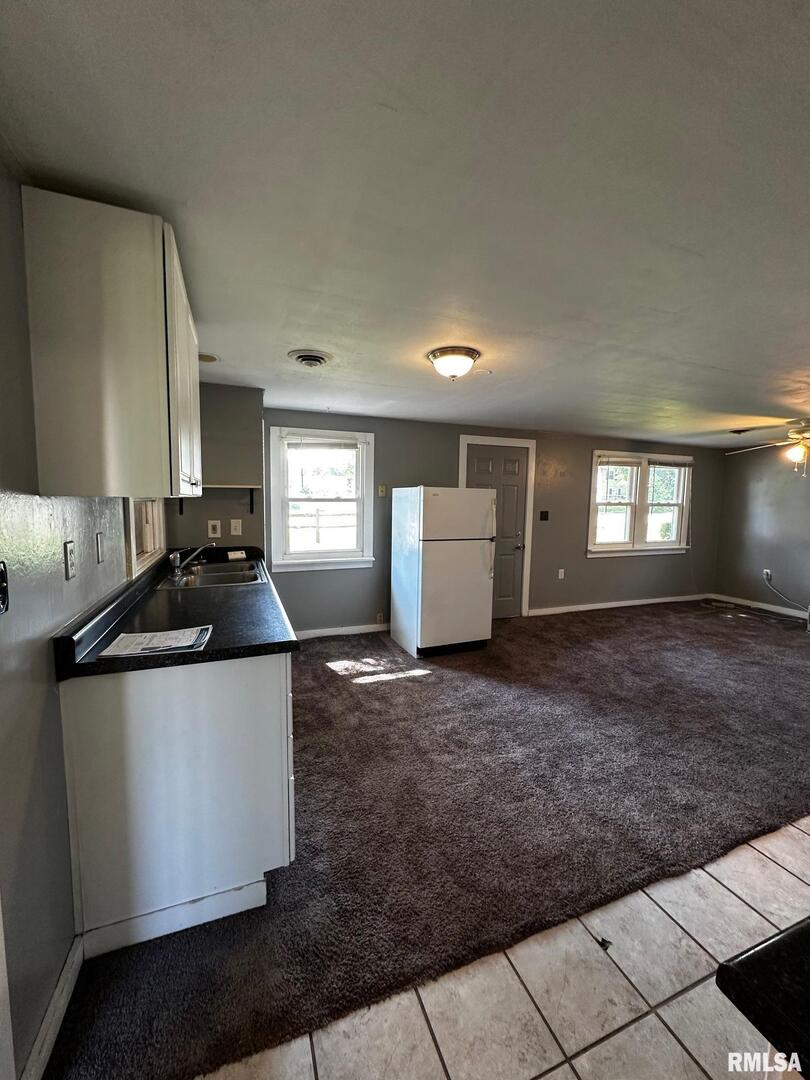 920 5th Street Colona, IL 61241 - Photo 14 of 16