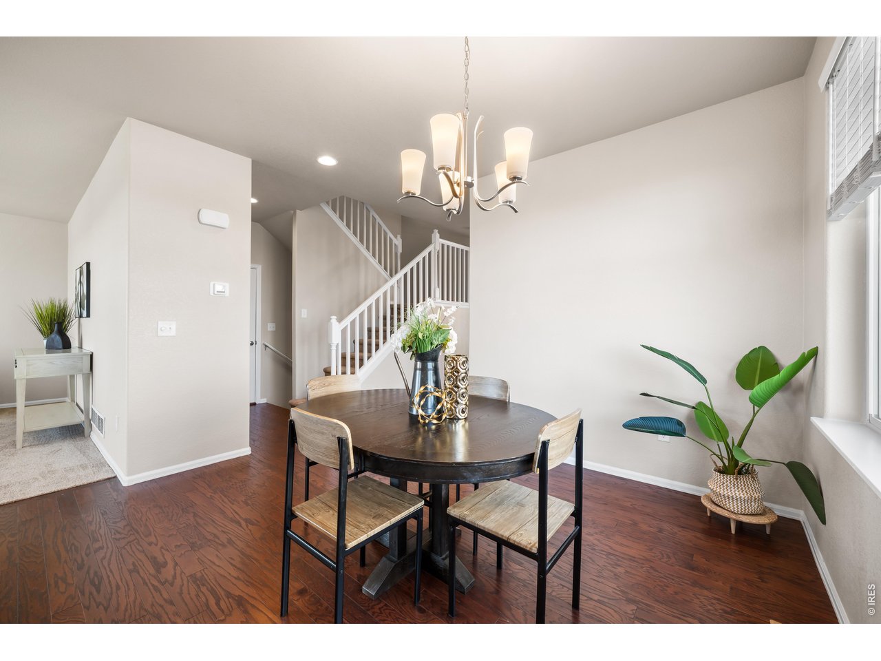 1838 Rise Drive Windsor, CO 80550 - Photo 11 of 40 Gallery Image 11