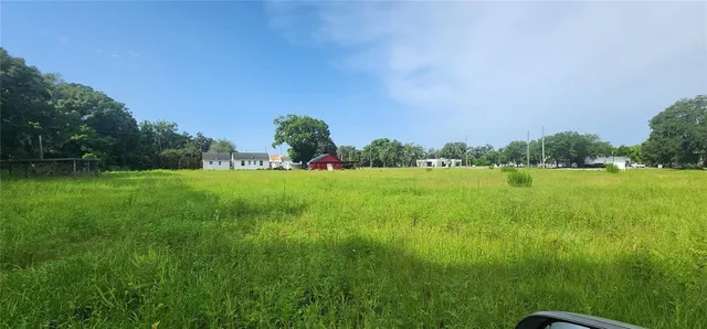 a view of a grassy field with an trees
