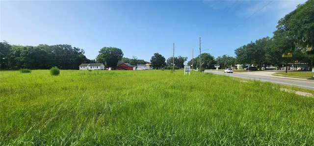 a backyard of a house with plants and large trees