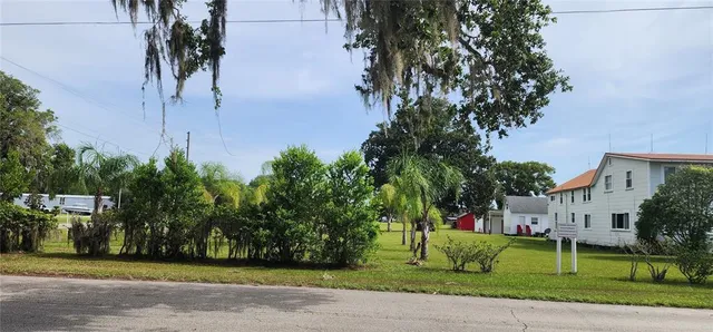 a view of a park with plants and trees