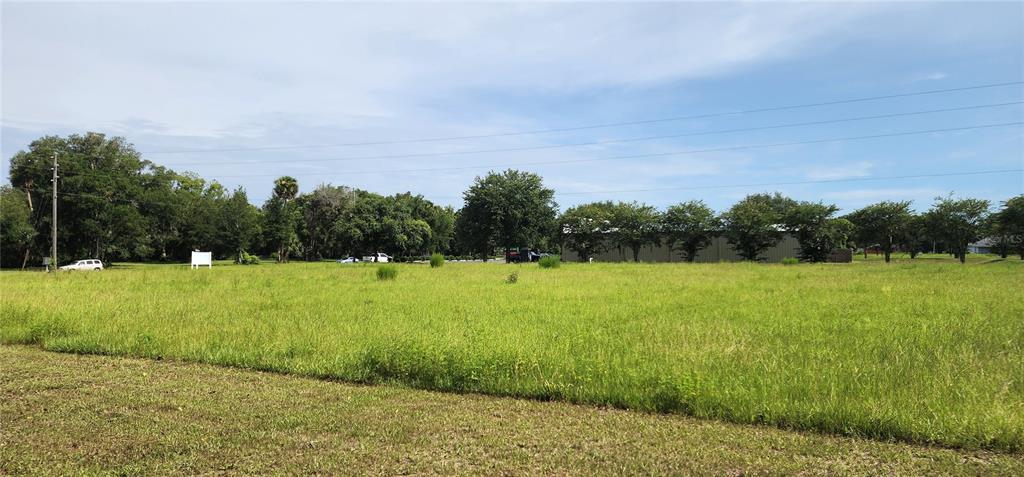 110 East 2nd Avenue Pierson, FL 32180 - Photo 7 of 11