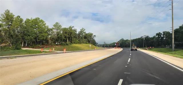 a view of field with tall trees