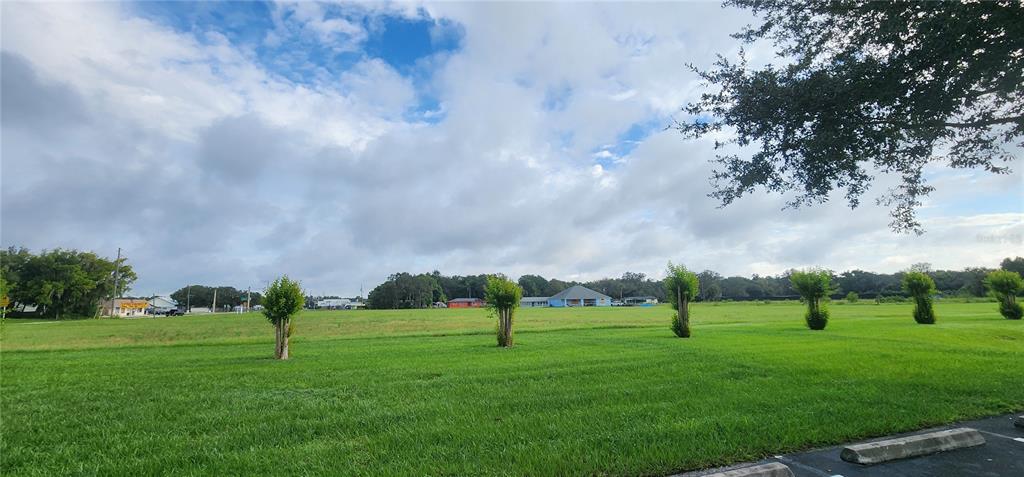 110 East 2nd Avenue Pierson, FL 32180 - Photo 10 of 11 a view of field with tall trees