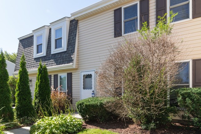204 Rodenburg Road Roselle, IL 60172 - Photo 1 of 12 a view of a house with brick walls and flower plants