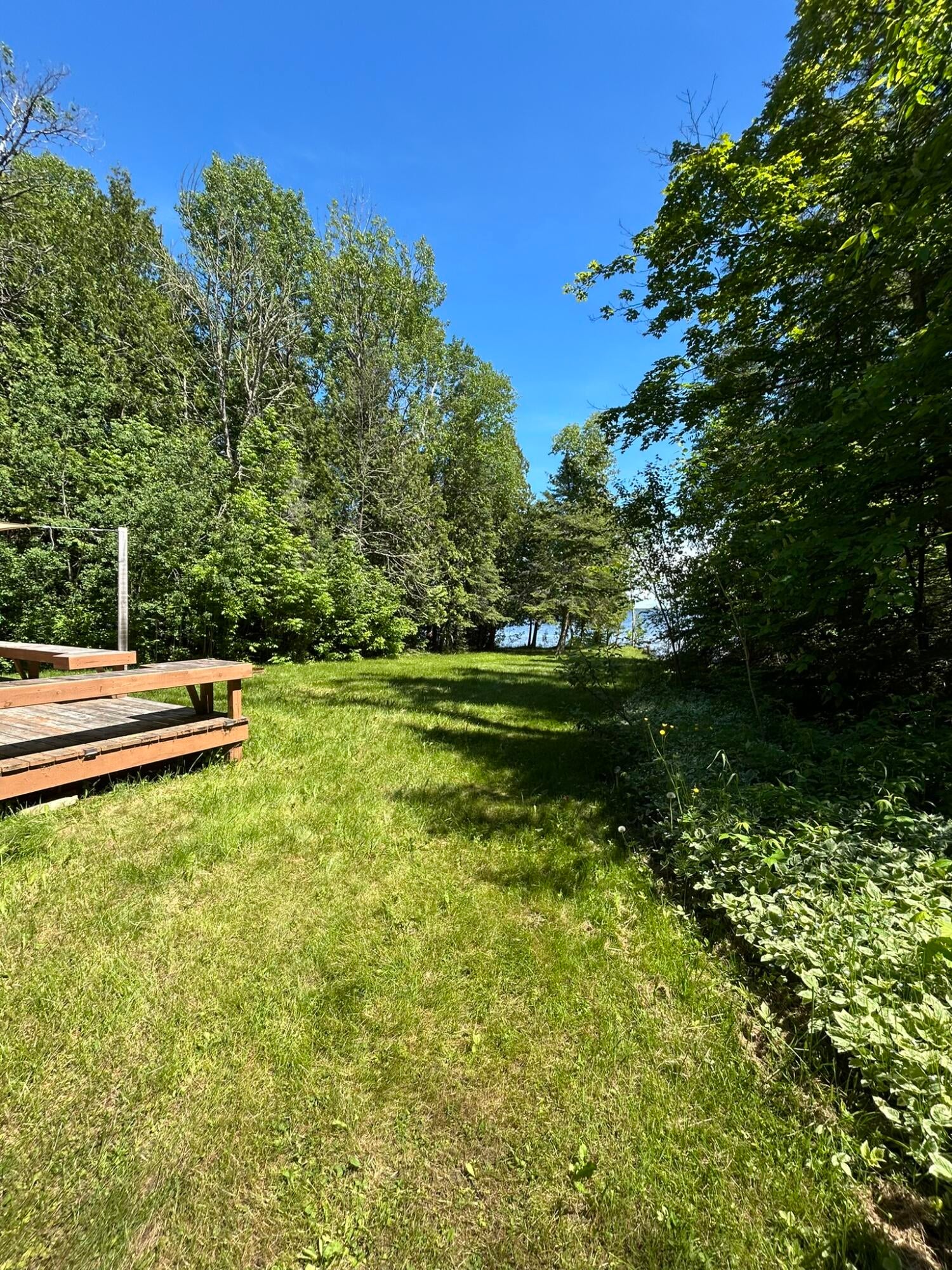 4241 North Government Road Moran, MI 49760 - Photo 10 of 54