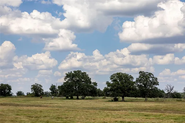 a view of three  and trees