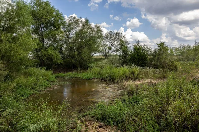 a view of a lush green forest with lots of trees