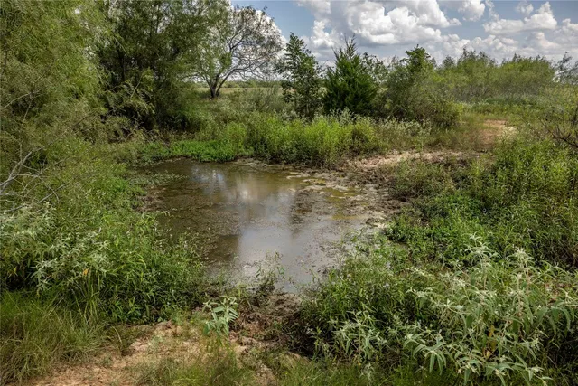 a view of a lake and mountain in the back