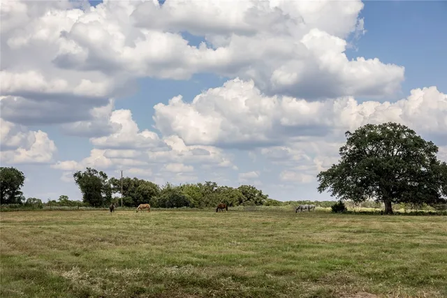 a view of a big yard with an trees
