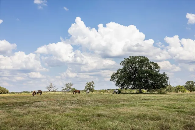 a view of lawn chairs and iron fence