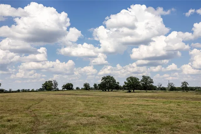 a view of a big and yard