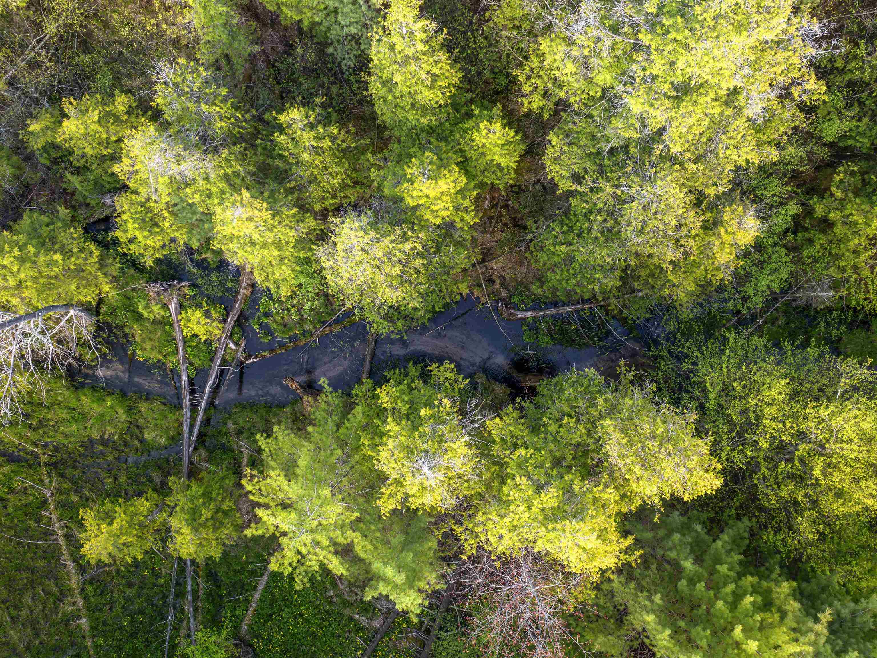 0 Honor Highway, Unit 0RIANN'S RUN Interlochen, MI 49643 - Photo 1 of 11