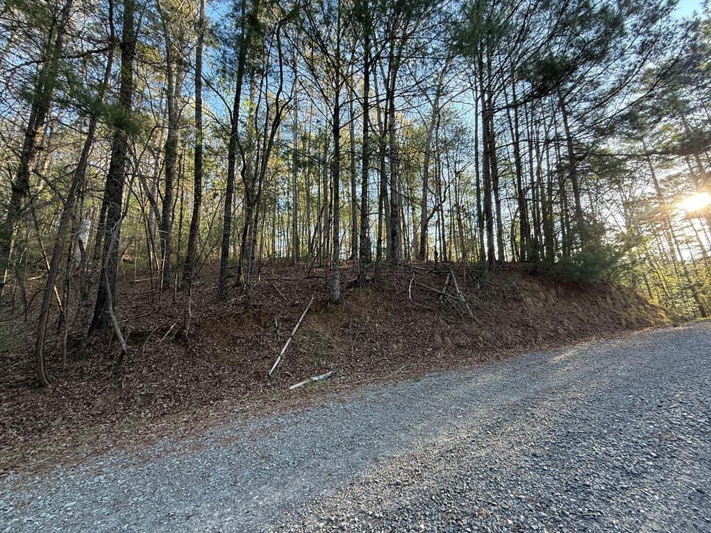 L3675 R Fern Drive Ellijay, GA 30540 - Photo 1 of 35 Main View