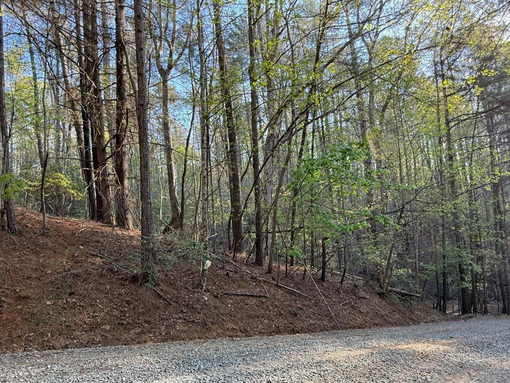 L3675 R Fern Drive Ellijay, GA 30540 - Photo 2 of 35 Gallery Image 2