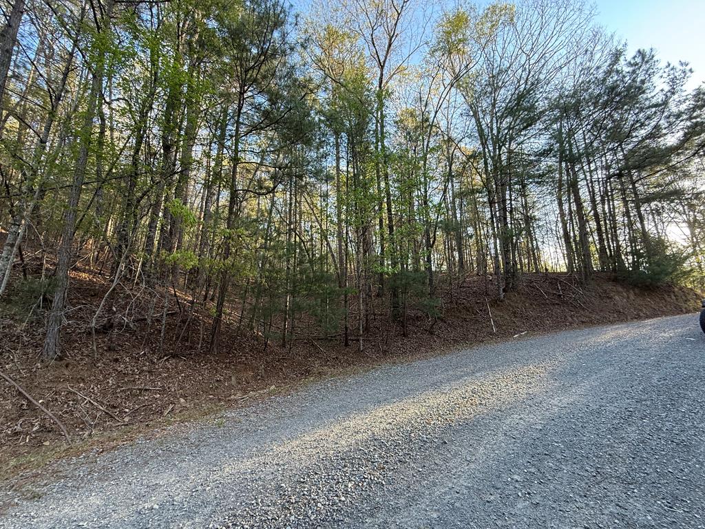 L3675 R Fern Drive Ellijay, GA 30540 - Photo 3 of 35 Gallery Image 3
