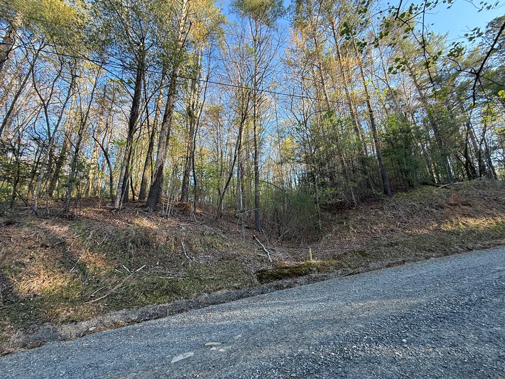 L3675 R Fern Drive Ellijay, GA 30540 - Photo 7 of 35 Gallery Image 7