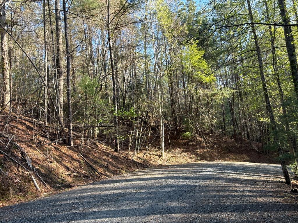 L3675 R Fern Drive Ellijay, GA 30540 - Photo 8 of 35 Gallery Image 8