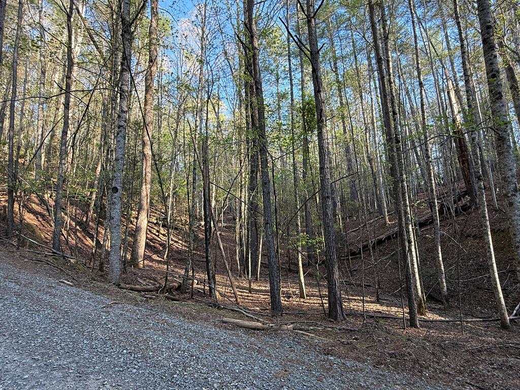 L3675 R Fern Drive Ellijay, GA 30540 - Photo 10 of 35 Gallery Image 10