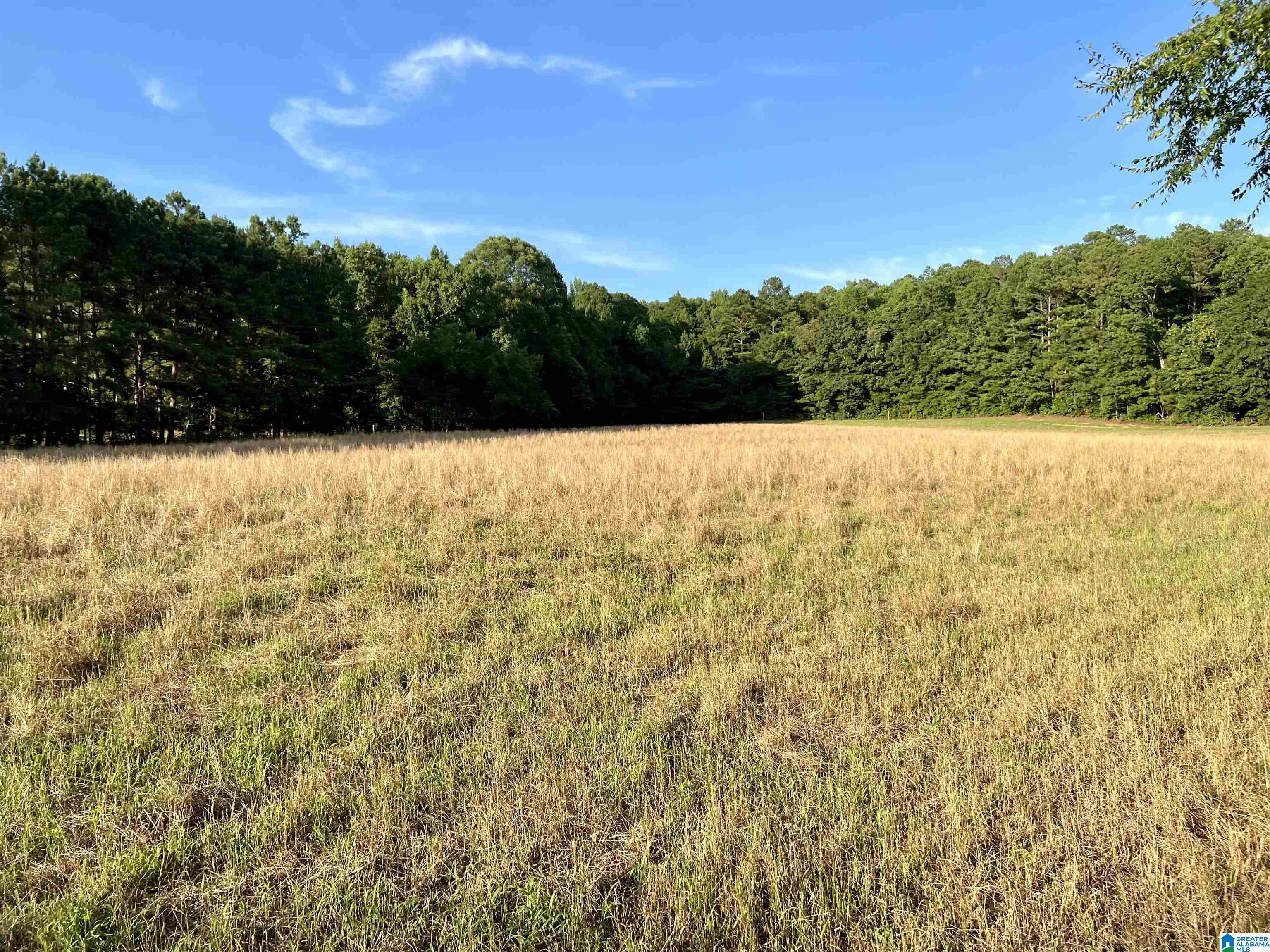 1515 Kelly Ranch Road, Unit 138 ACRES / Talladega, AL 35160 - Photo 19 of 42