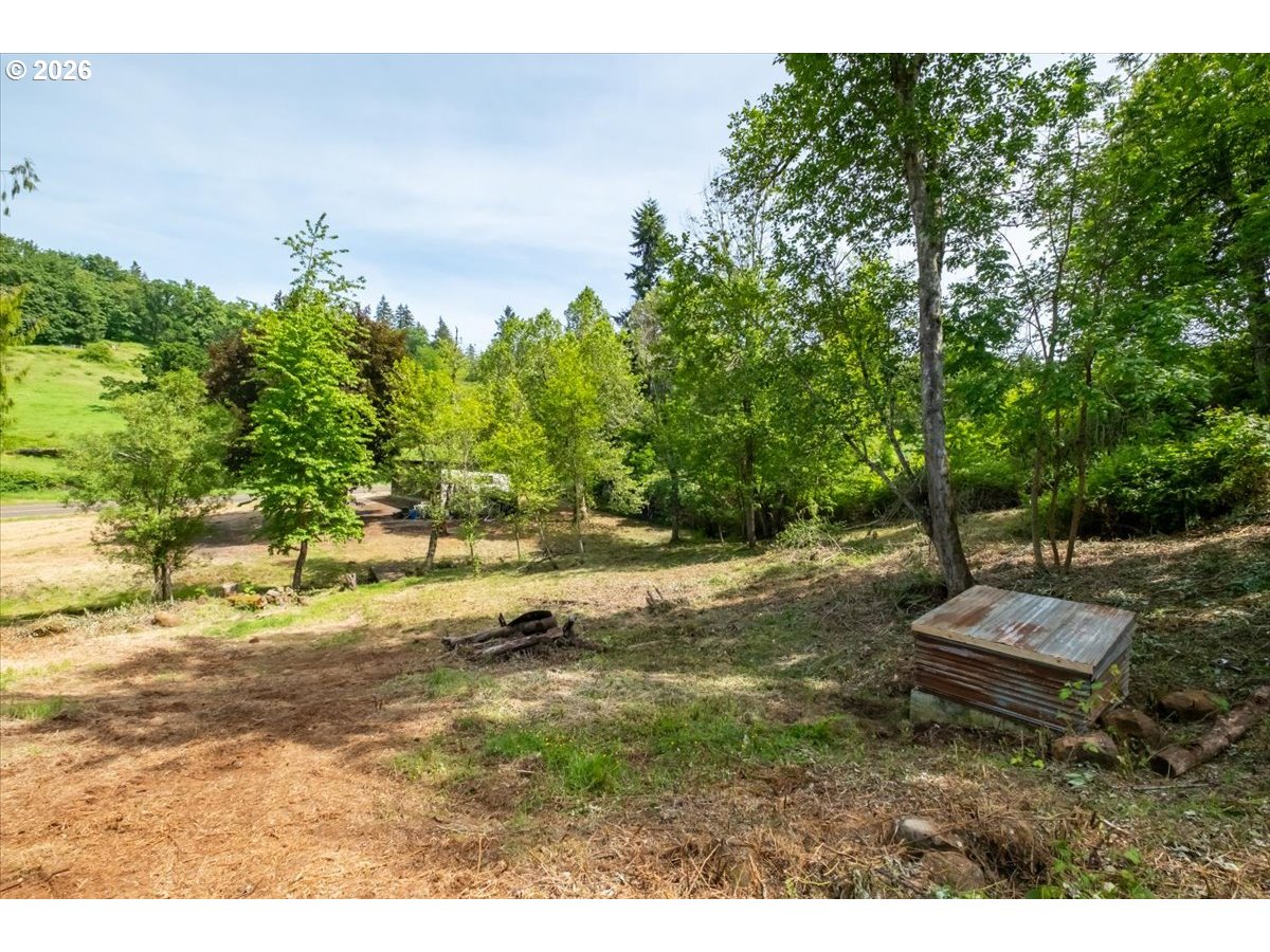 3835 Edison Road Northeast Silverton, OR 97381 - Photo 9 of 39
