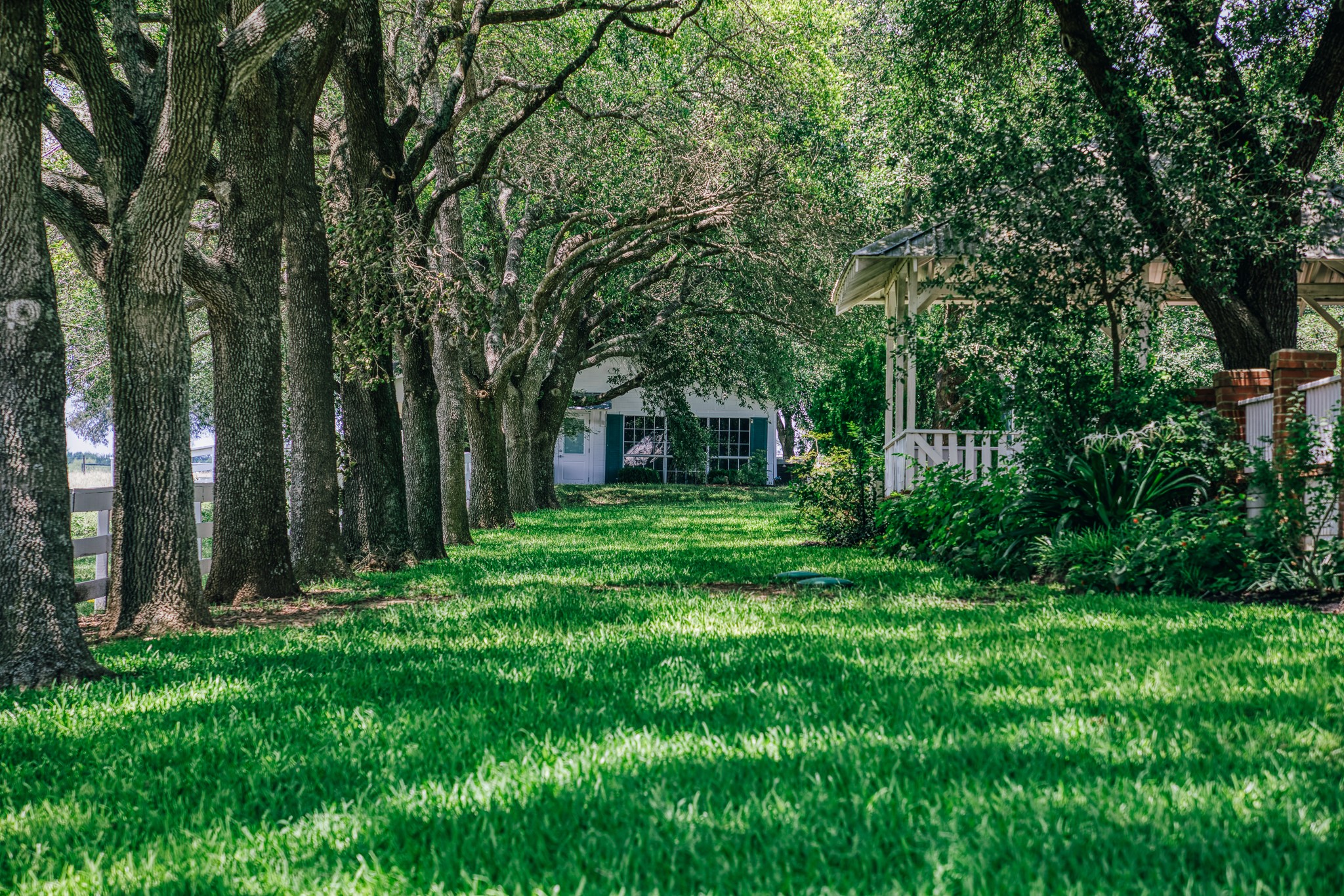 14808 Whitman Road Washington, TX 77880 - Photo 25 of 30