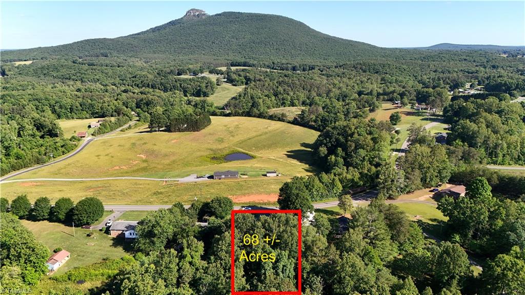 488 Shoals Road Pinnacle, NC 27043 - Photo 2 of 27
