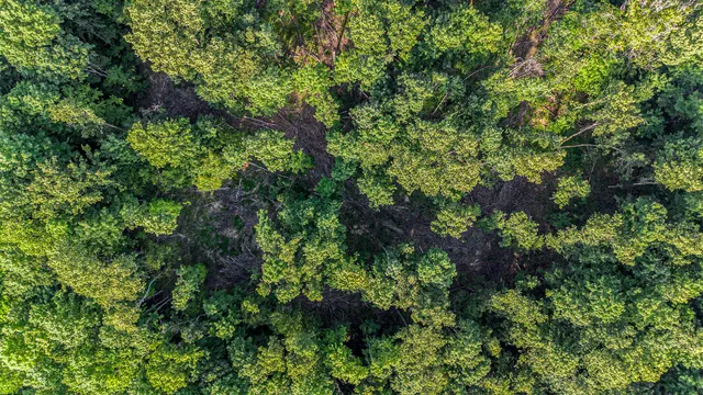 $29,500 | 5 East Old State Road, East Jordan, MI 49727