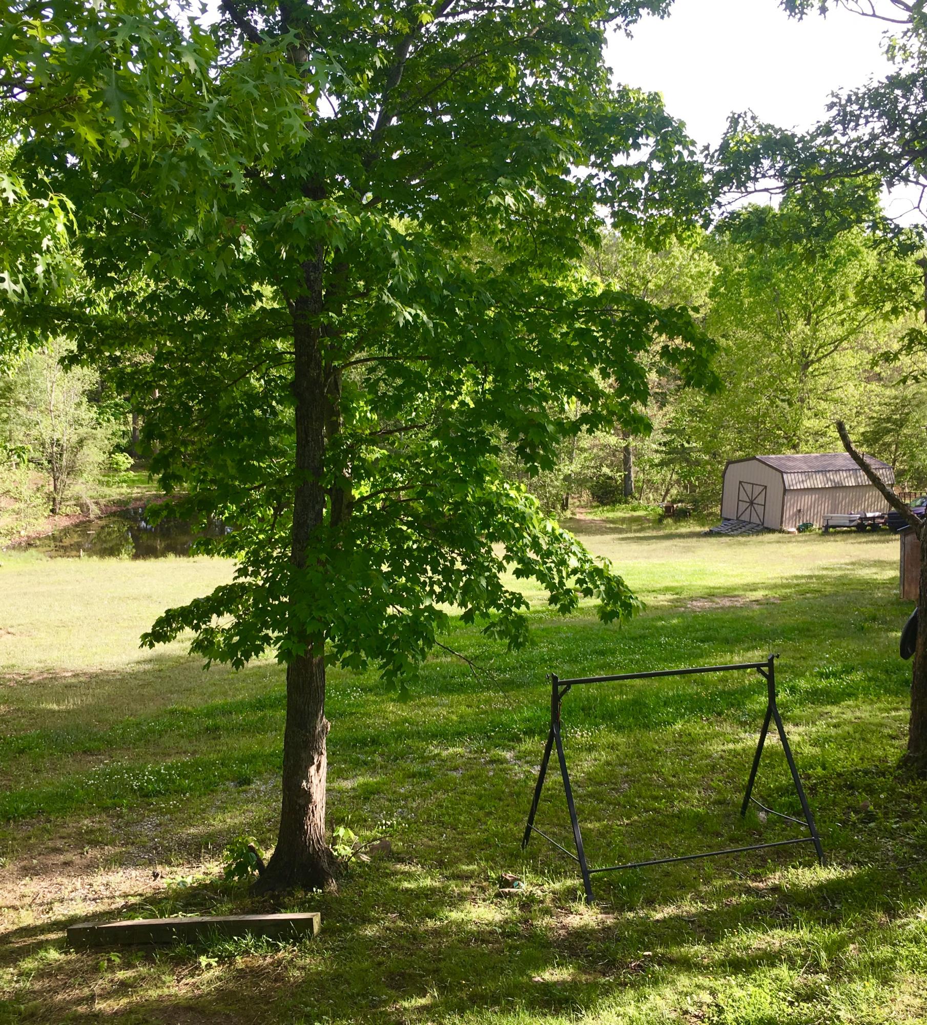 1120 Bill Martin Road Afton, TN 37616 - Photo 24 of 31 IMG-8616