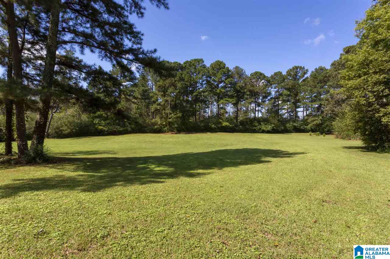 324 North Pine Hill Road Birmingham, AL 35217 - Photo 4 of 38