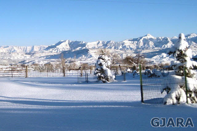 9757 48 Road Mesa, CO 81643 - Photo 14 of 35 Gallery Image 14