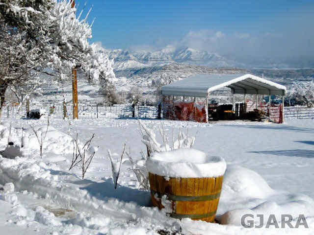 9757 48 Road Mesa, CO 81643 - Photo 15 of 35 Gallery Image 15