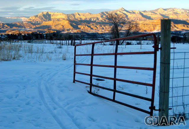 9757 48 Road Mesa, CO 81643 - Photo 17 of 35 Gallery Image 17