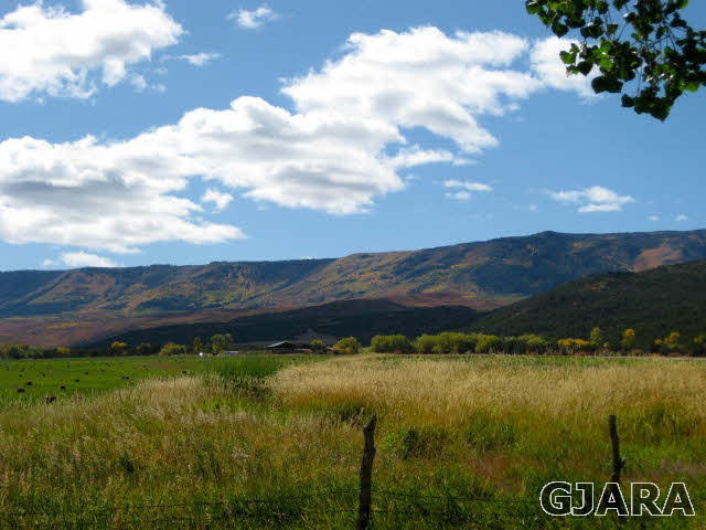 9757 48 Road Mesa, CO 81643 - Photo 19 of 35 Gallery Image 19