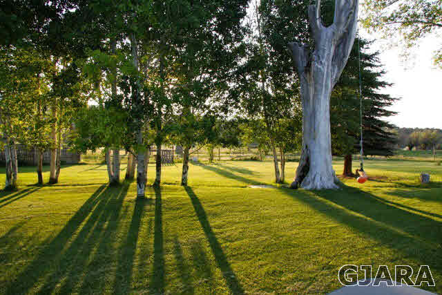 9757 48 Road Mesa, CO 81643 - Photo 23 of 35 Gallery Image 23
