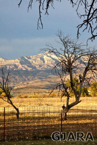 9757 48 Road Mesa, CO 81643 - Photo 24 of 35 Gallery Image 24