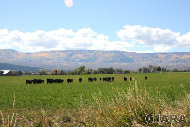 9757 48 Road Mesa, CO 81643 - Photo 25 of 35 Gallery Image 25