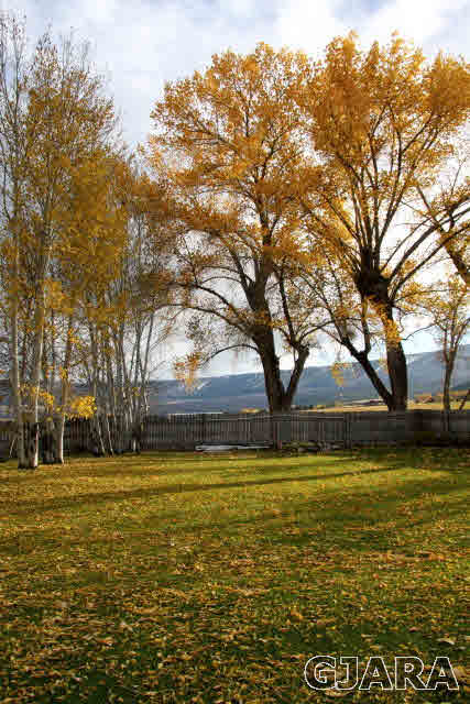 9757 48 Road Mesa, CO 81643 - Photo 34 of 35 Gallery Image 34