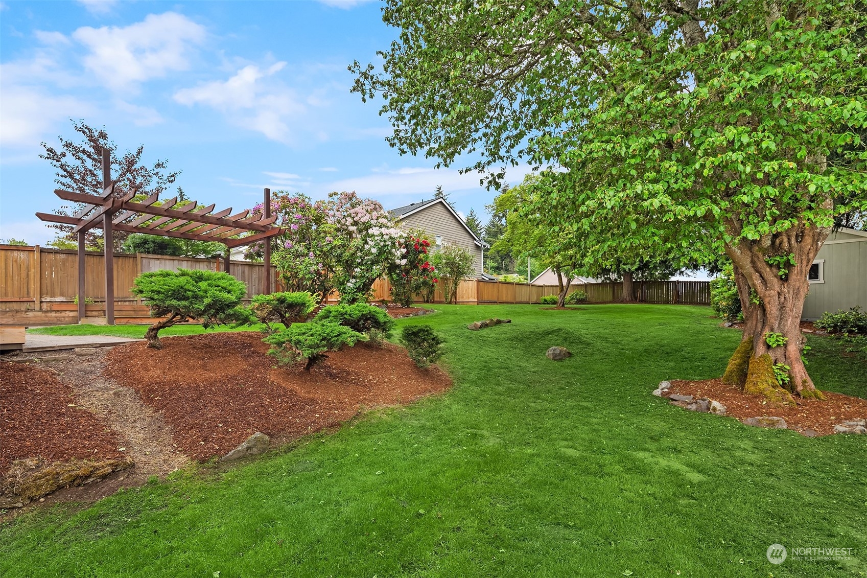1909 Northeast 24th Street Renton, WA 98056 - Photo 26 of 34 a view of a garden with a tree