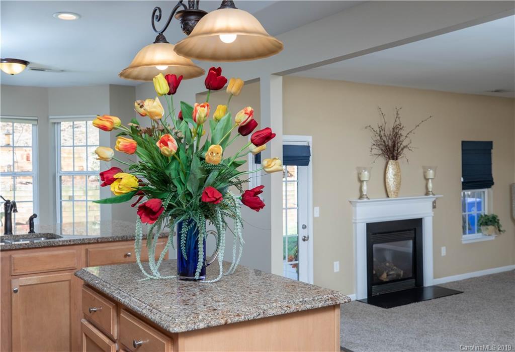 5209 Sunriver Road Gastonia, NC 28054 - Photo 10 of 45 Gallery Image 10